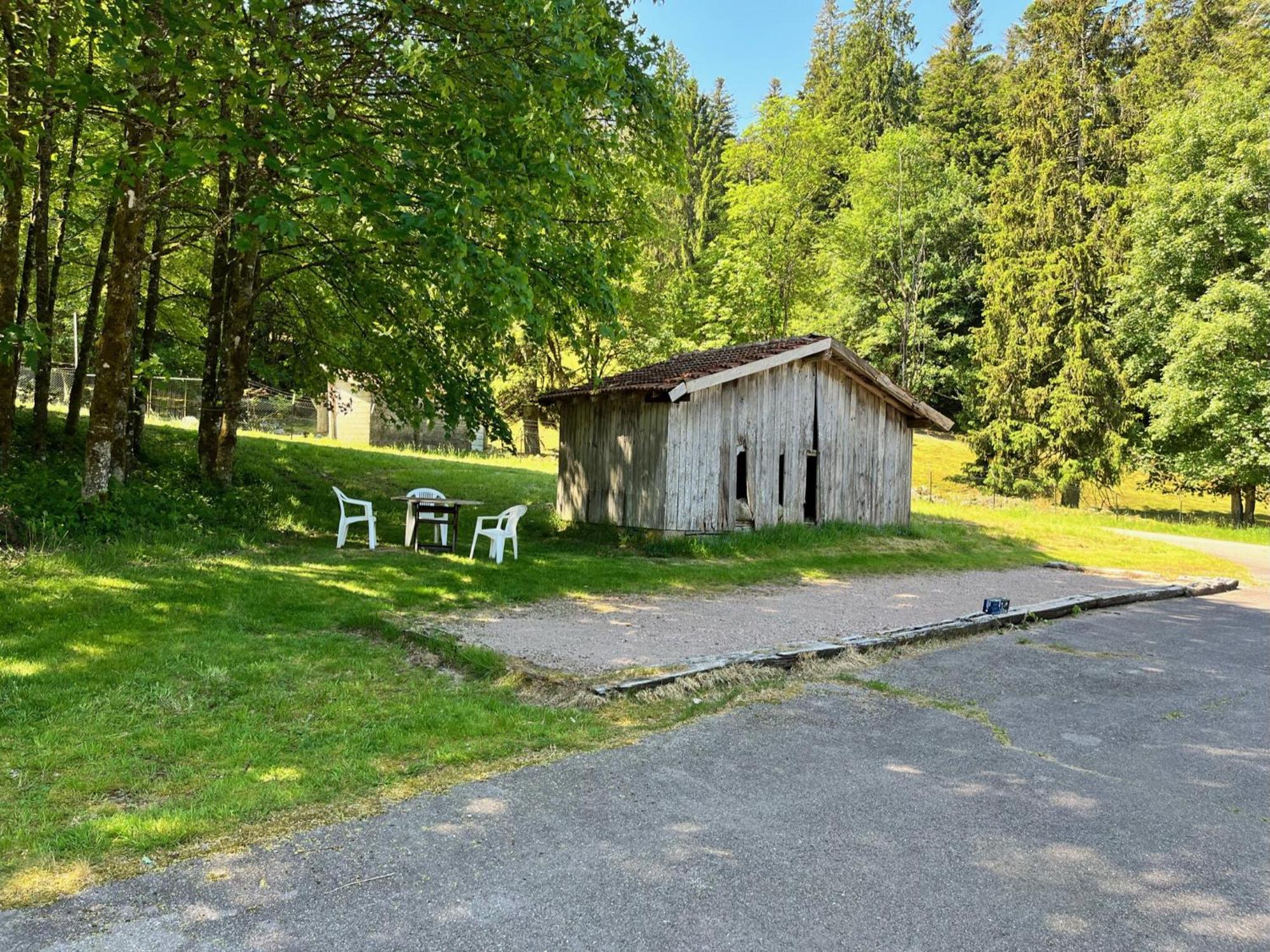 Ferme Des Jonquilles 15P - Billard, Ps4, Salle De Sport Gérardmer Exterior foto